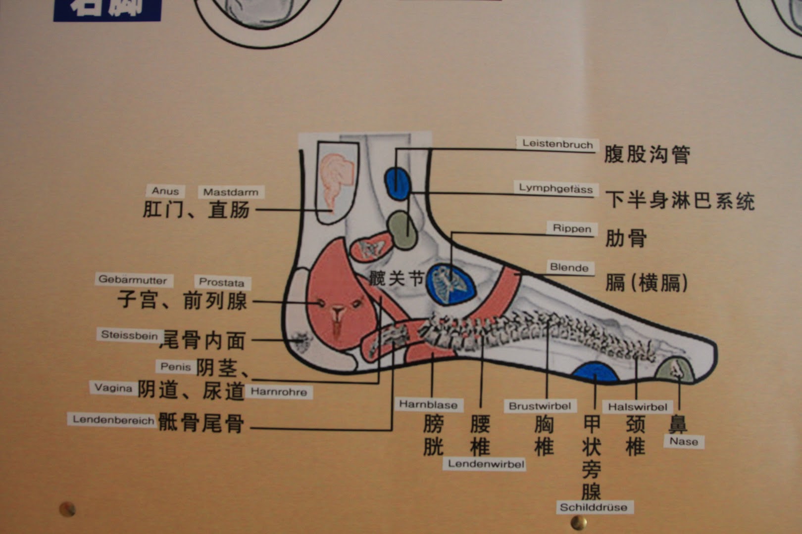 Wang´s Asia Massage · Fotos 9