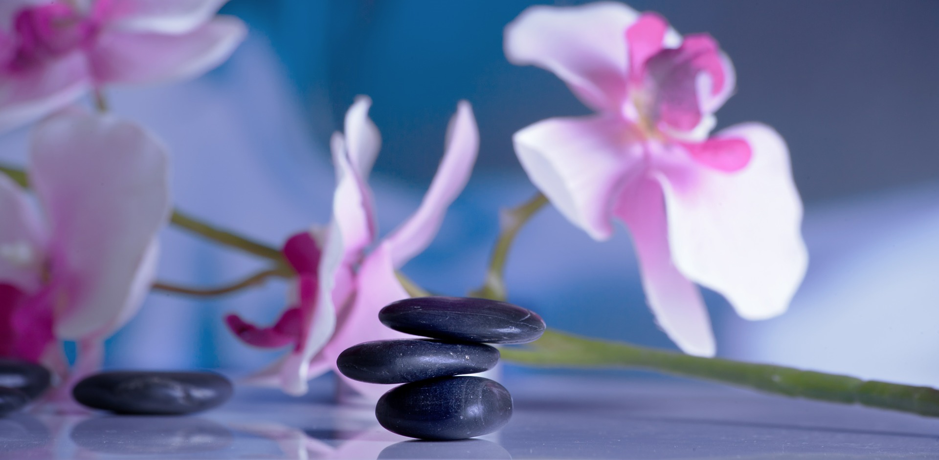 Wang´s Asia Massage · Fotos 11